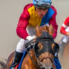 sunny summer day hippodrome three horses are running full speed raising cloud dust